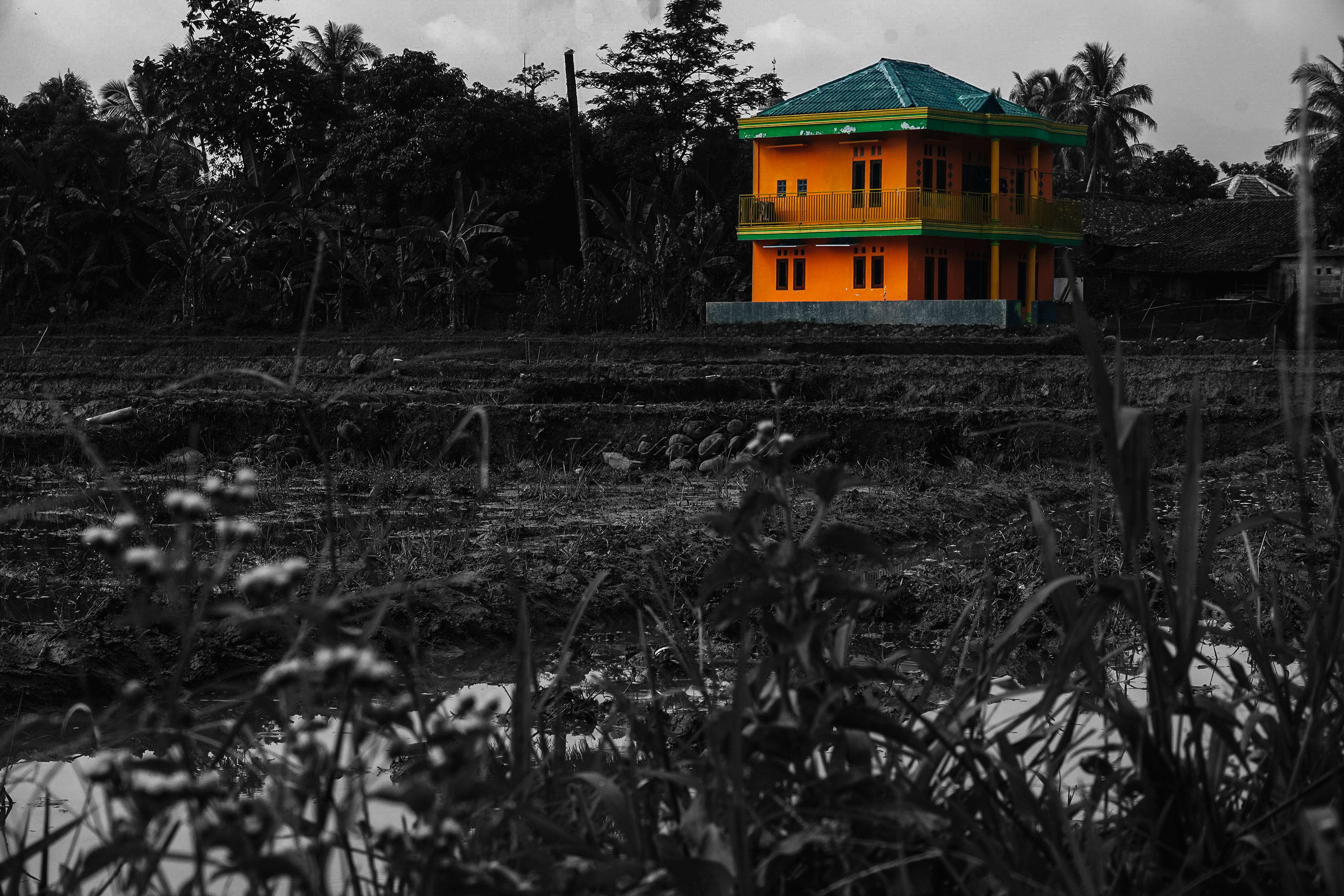 Akan ada masanya tanah menjadi rumah.