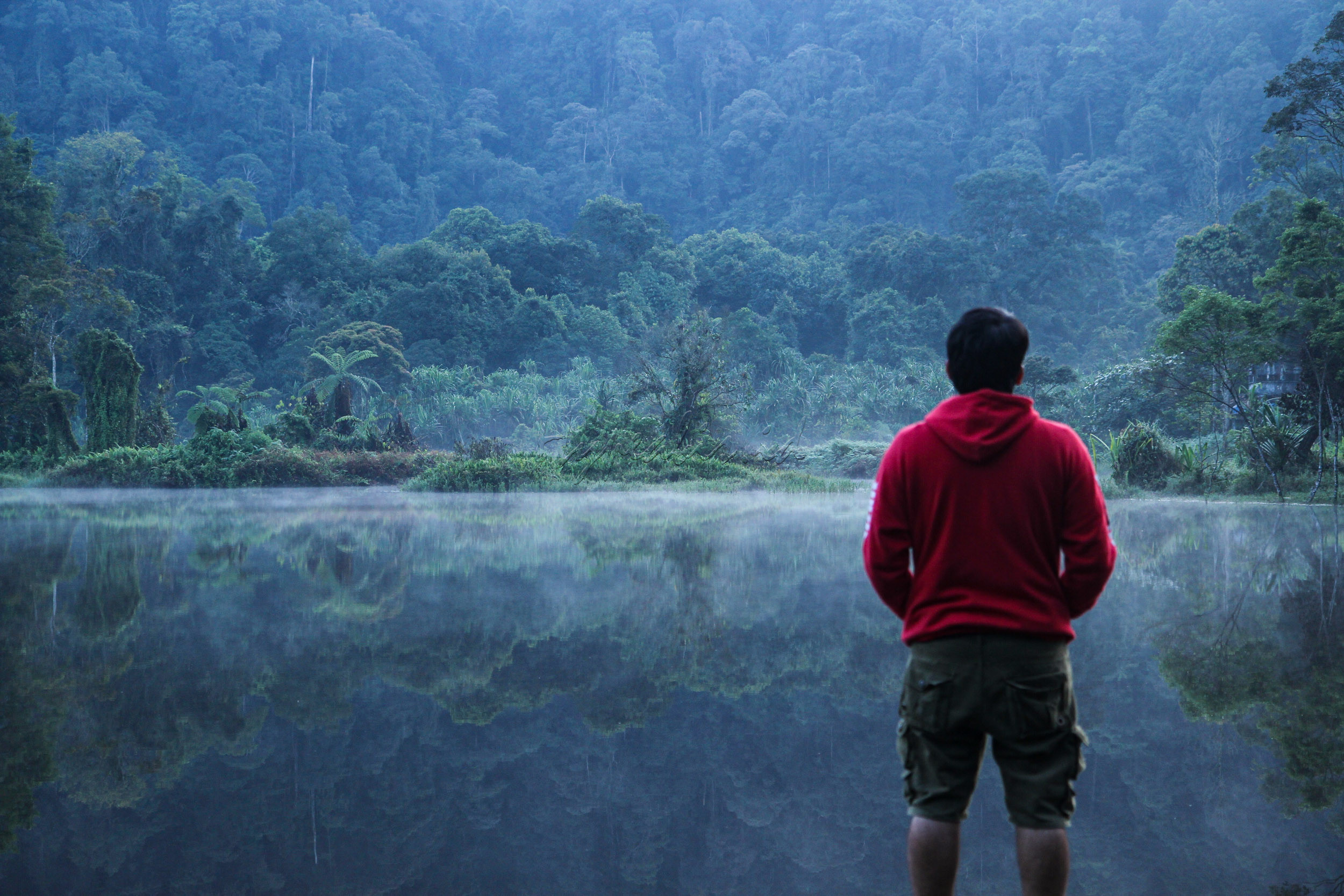 Hampir setiap sudut danau ini dikelilingi oleh hutan pinus yang memberikan sensasi ketenangan dan aroma kesejukan.