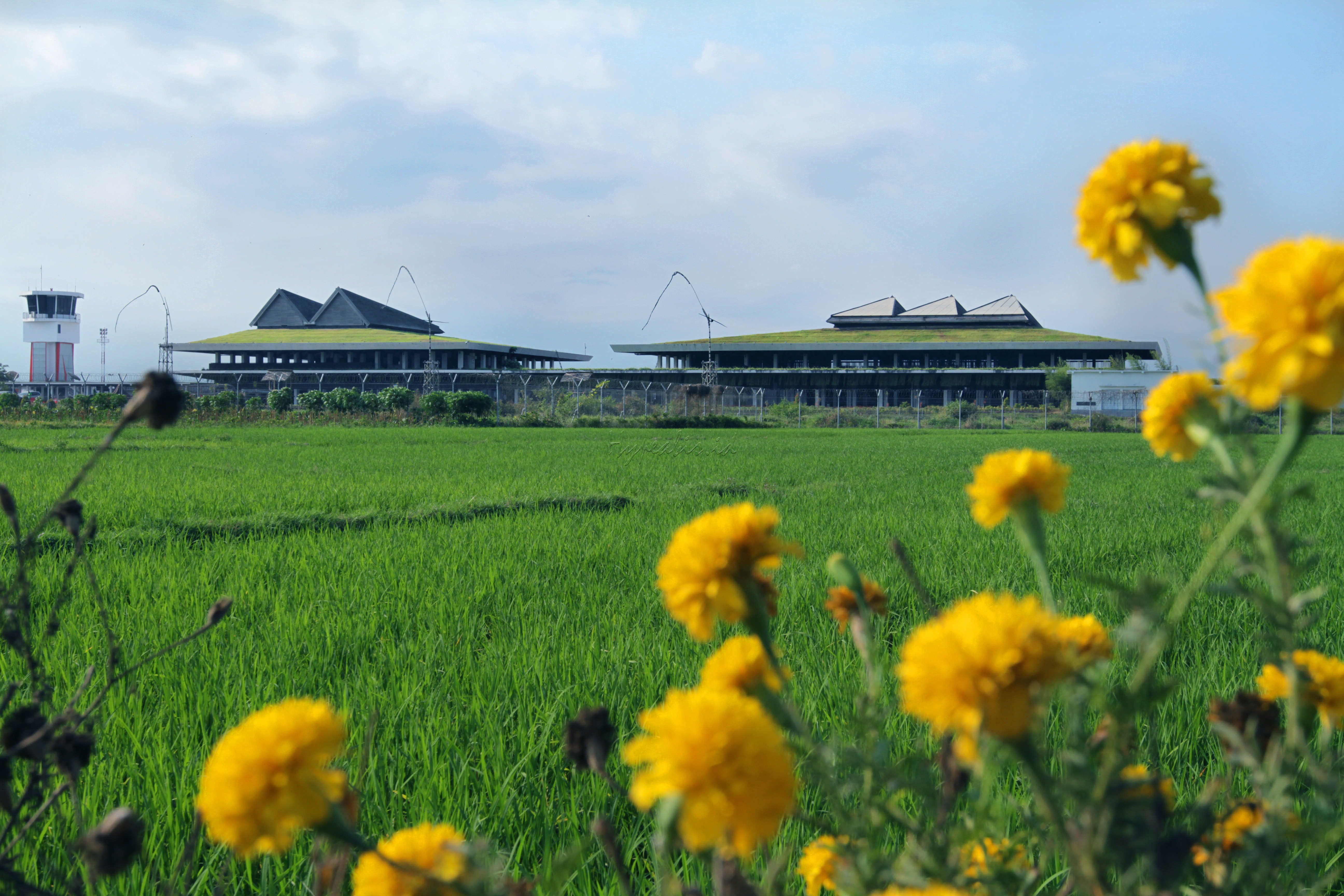 Bandara Blimbingsari yang berada di Banyuwangi, Jawa Timur kondang disebut sebagai green Airport atau bandara berkonsep Hijau pertama di Indonesia. Green airport menekankan pada optimalisasi lahan pertanian yang ada di area bandara, serta keberpihakan pada masyarakat sekitar bandara