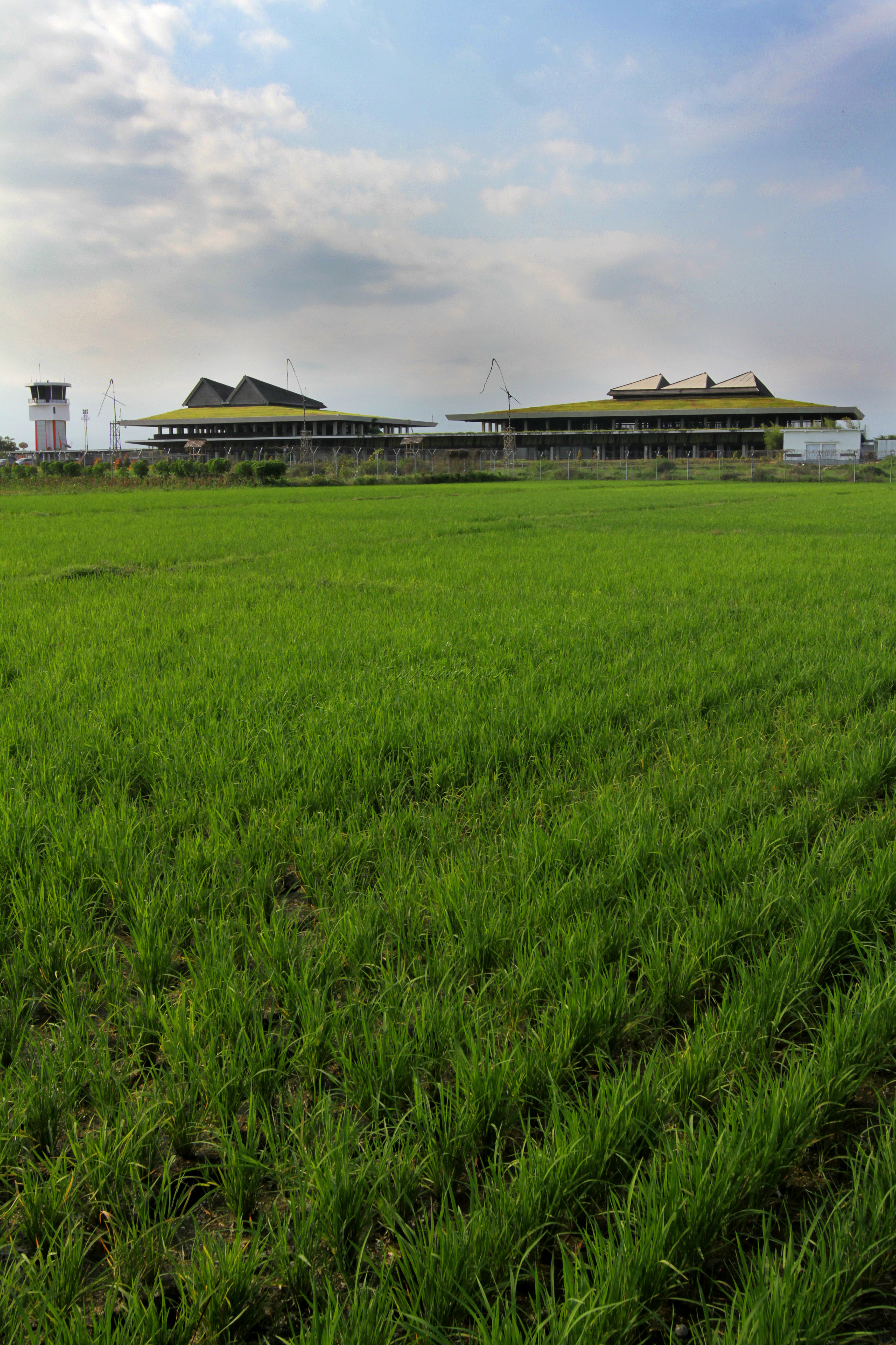 Bandara Blimbingsari yang berada di Banyuwangi, Jawa Timur kondang disebut sebagai green Airport atau bandara berkonsep Hijau pertama di Indonesia. Green airport menekankan pada optimalisasi lahan pertanian yang ada di area bandara, serta keberpihakan pada masyarakat sekitar bandara