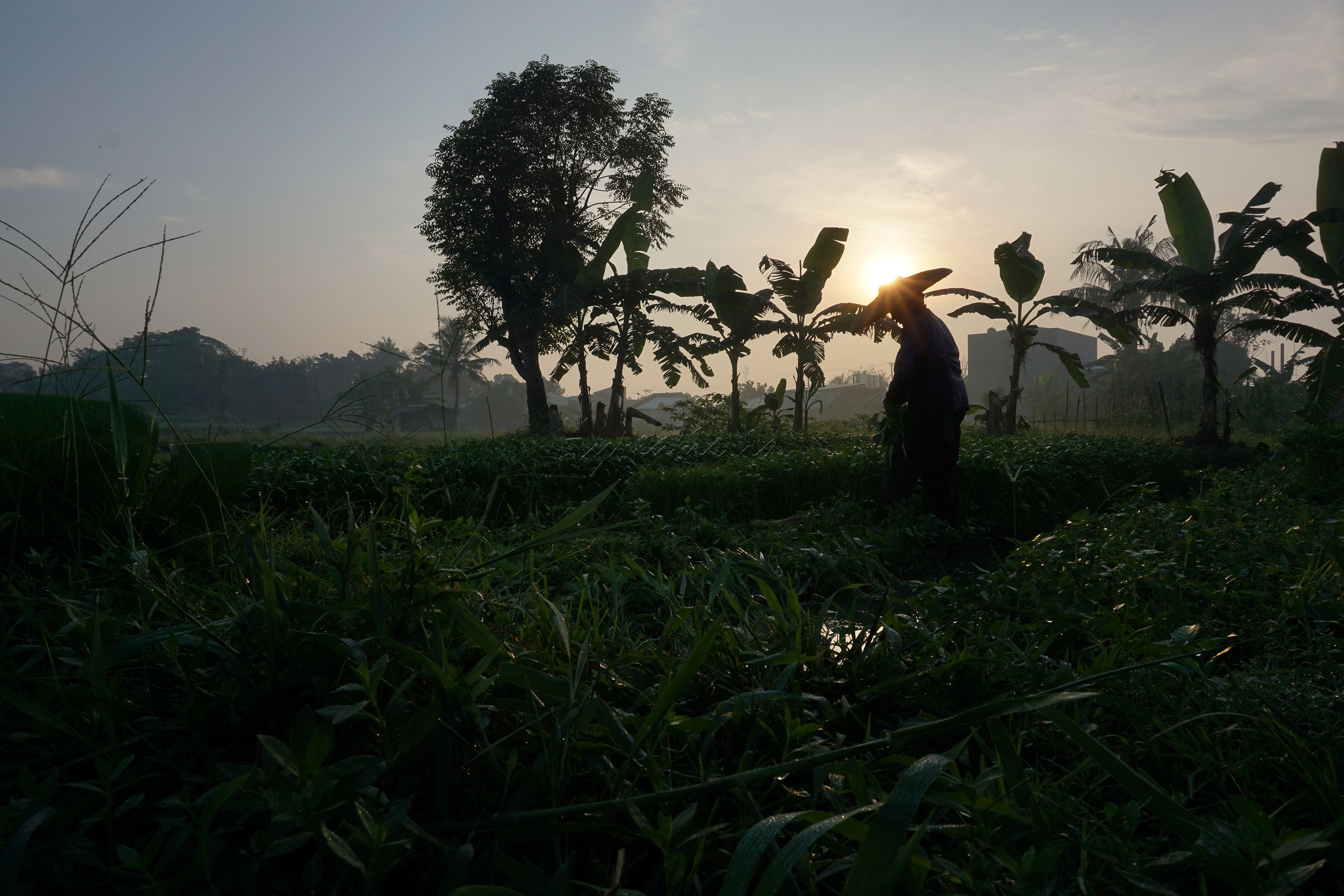 Indonesia memiliki banyak potensi sumber daya alam, baik di darat maupun perairan. Sehingga sebagian besar penduduk Indonesia memiliki mata pencaharian sebagai petani.