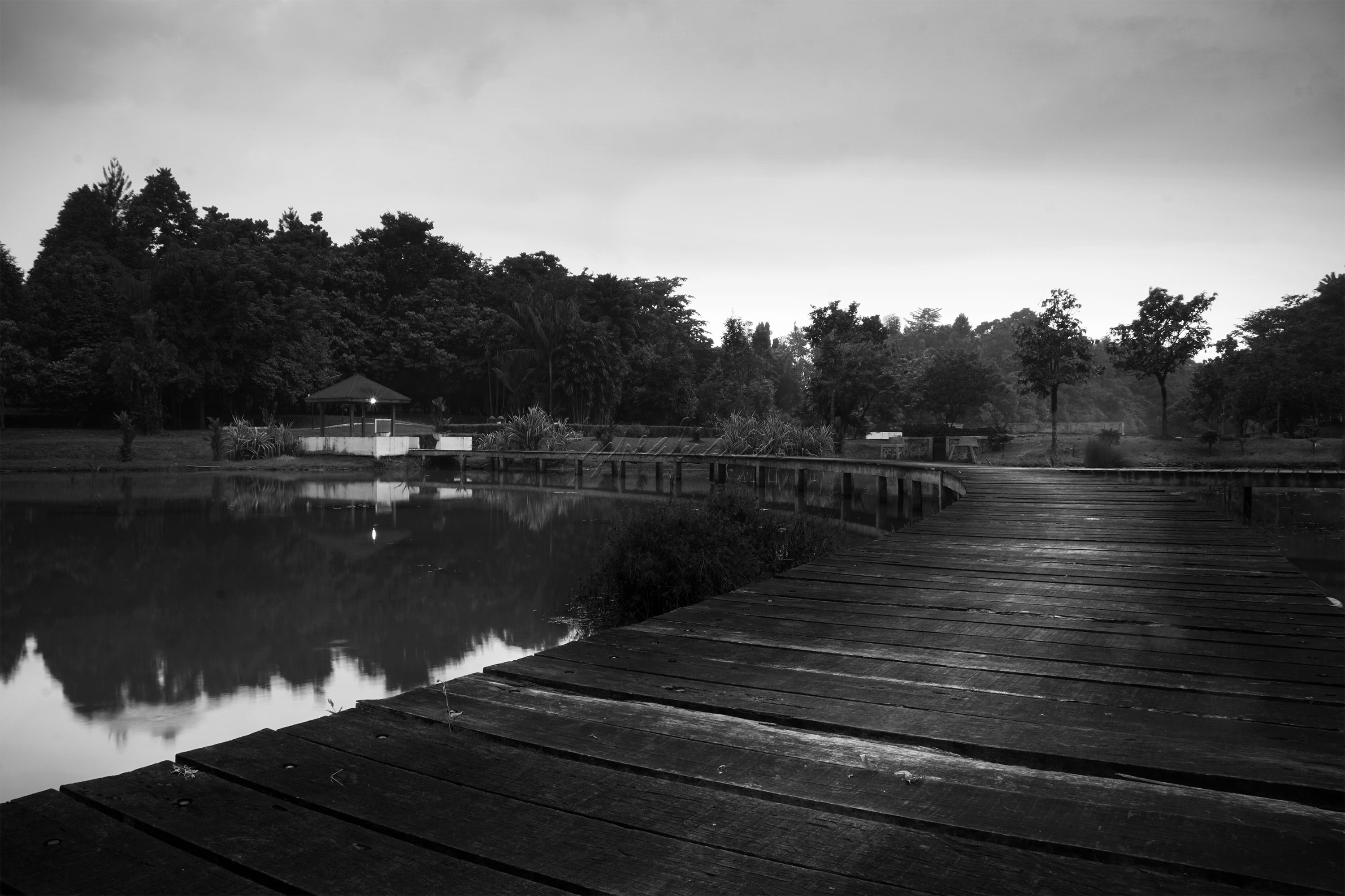 Di kawasan Lembaga Ilmu Penelitian Indonesia (LIPI) ada satu tempat wisata yang bisa jadi tujuan liburan akhir pekan, Danau Dora namanya. Danau Dora merupakan taman konservasi alam di area yang akan dibuat menjadi Kebun Raya Cibinong.