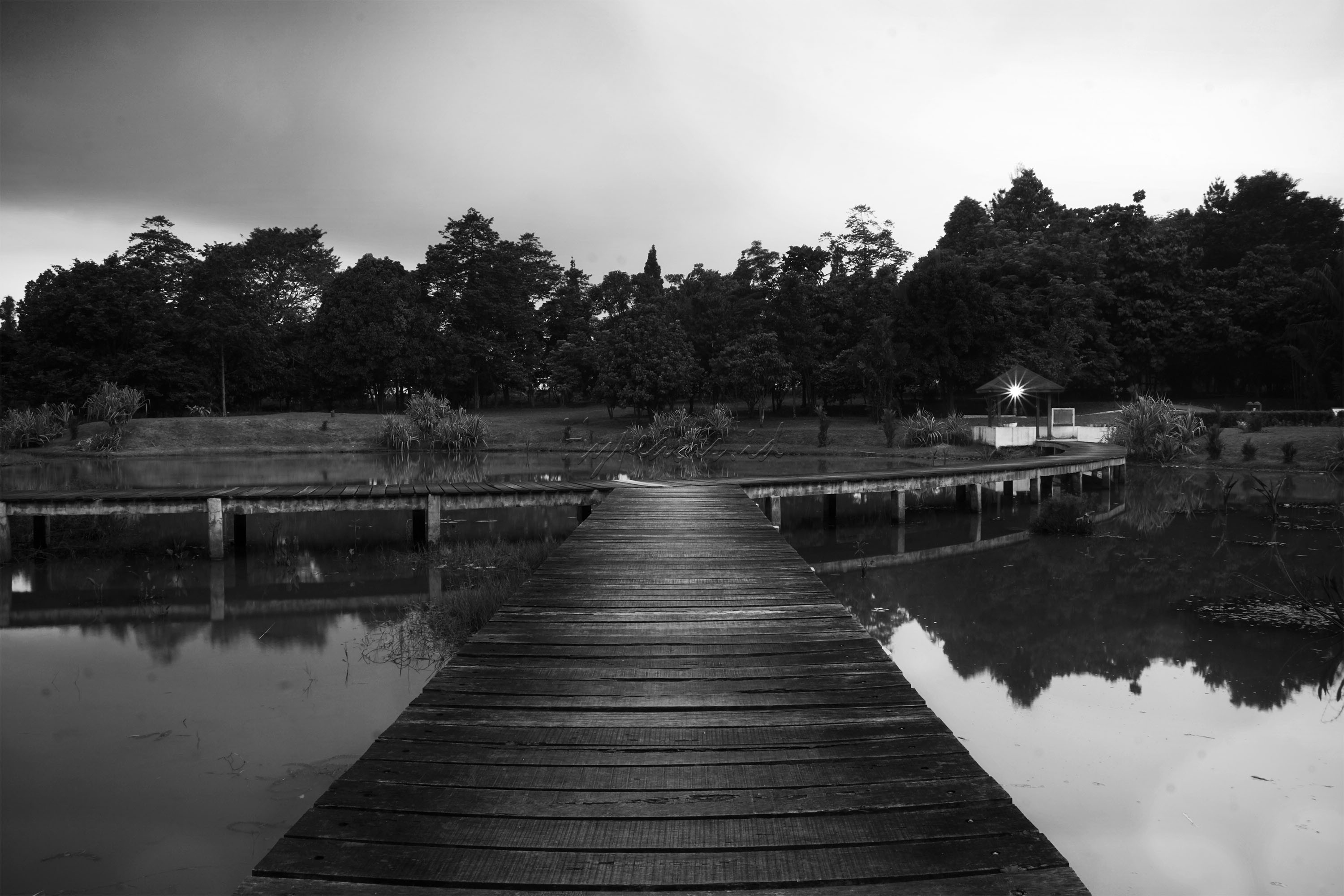 Di kawasan Lembaga Ilmu Penelitian Indonesia (LIPI) ada satu tempat wisata yang bisa jadi tujuan liburan akhir pekan, Danau Dora namanya. Danau Dora merupakan taman konservasi alam di area yang akan dibuat menjadi Kebun Raya Cibinong.
