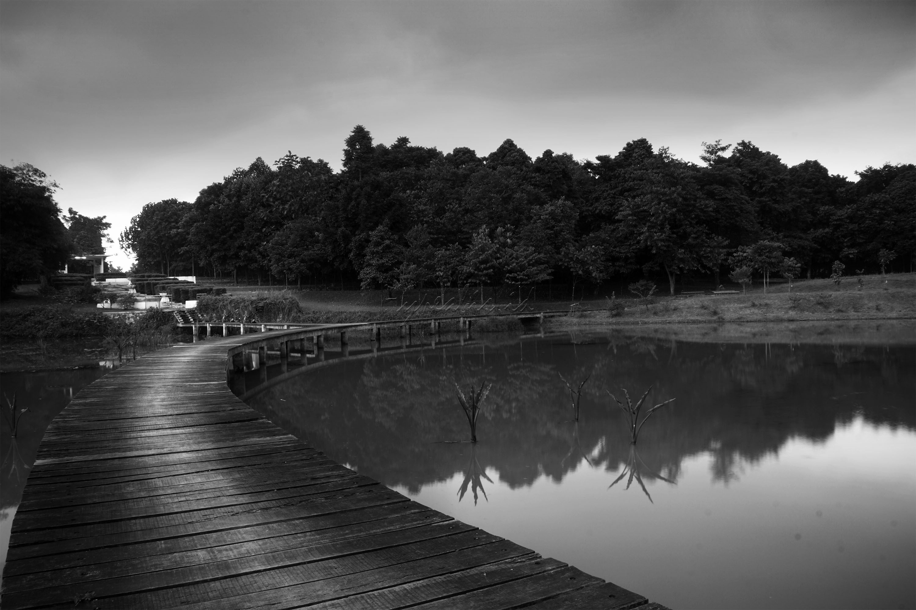 Di kawasan Lembaga Ilmu Penelitian Indonesia (LIPI) ada satu tempat wisata yang bisa jadi tujuan liburan akhir pekan, Danau Dora namanya. Danau Dora merupakan taman konservasi alam di area yang akan dibuat menjadi Kebun Raya Cibinong.