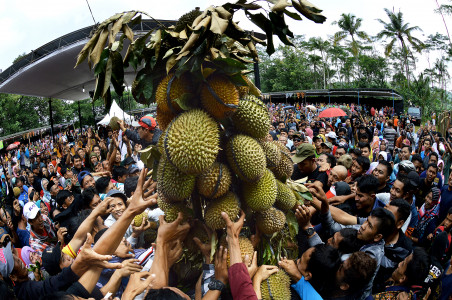 GEBYAR DURIAN NGROPOH