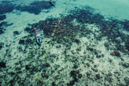 TRADISI WERWARAT MALUKU