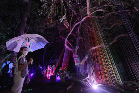 Taman Hutan Menyala