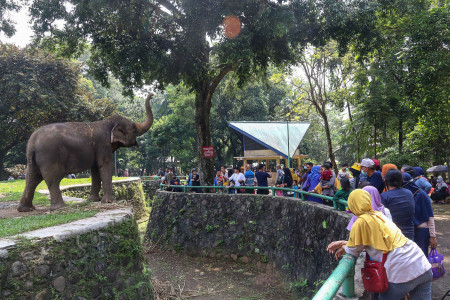 BERAKHIR PEKAN DI RAGUNAN