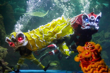 ATRAKSI BARONGSAI DI SEA WORLD