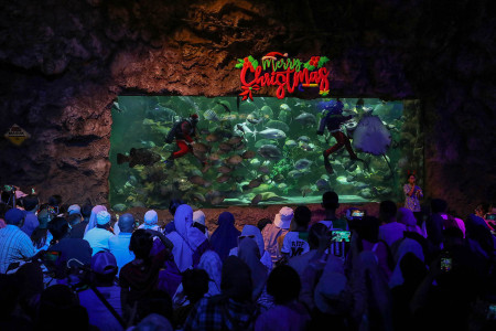 ATRAKSI SANTA CLAUS DI SEAWORLD ANCOL