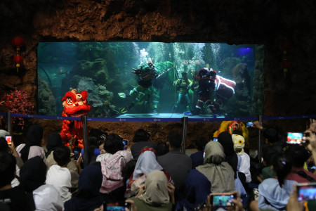 ATRAKSI BARONGSAI DI SEA WORLD