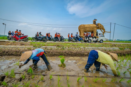 Kirab festival jerami purba