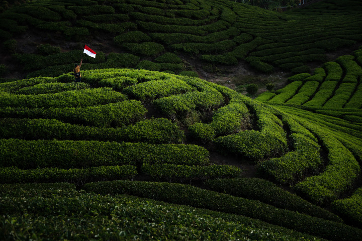 MENCINTAI INDONESIA