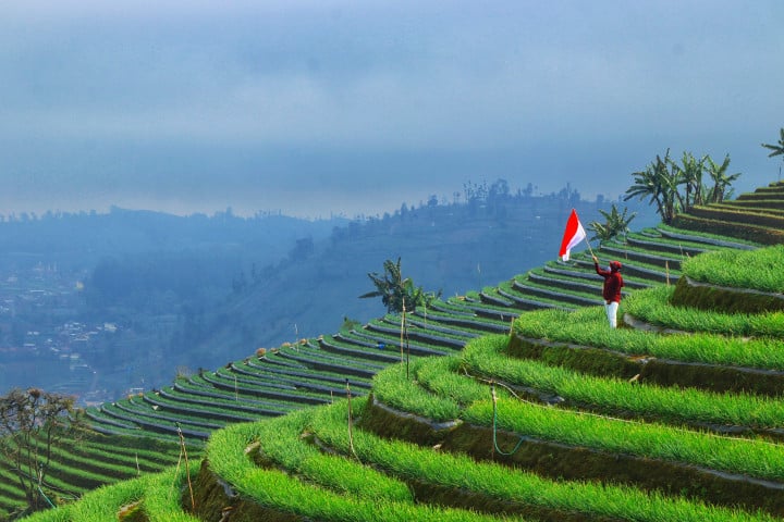 Merdeka itu Mandiri
